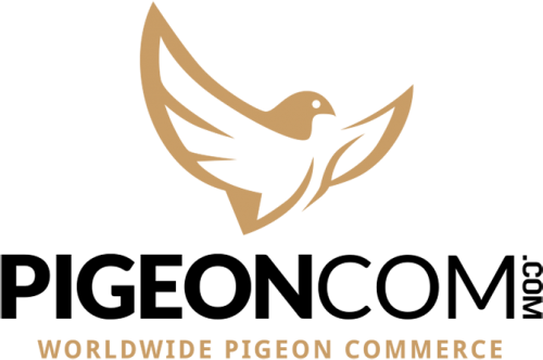 PigeonCom